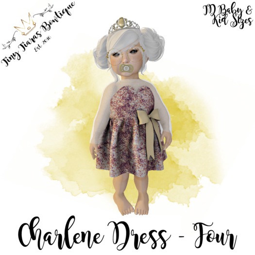 Tiny Tiaras Bowtique - Charlene Dress  / Four