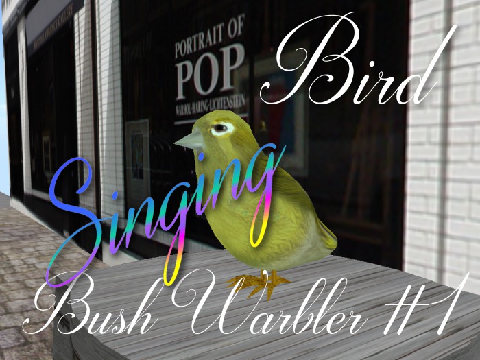 p-a-b bird bush warbler #1