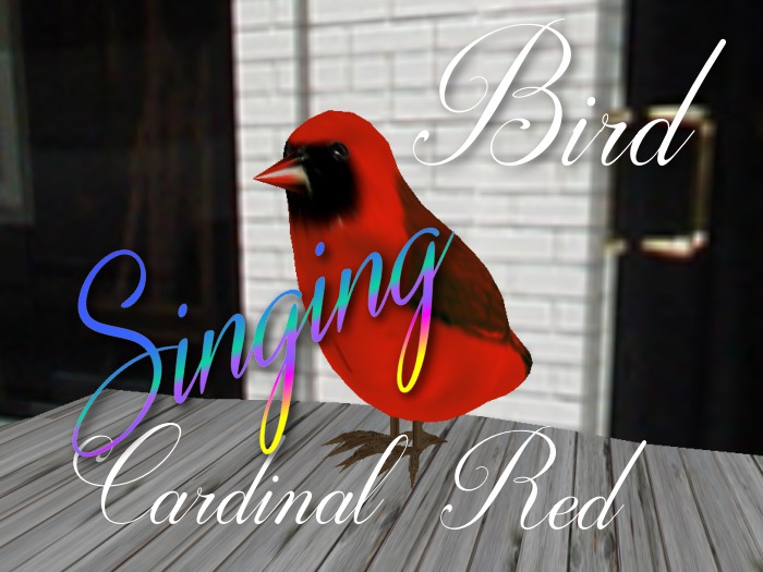 p-a-b bird cardinal red