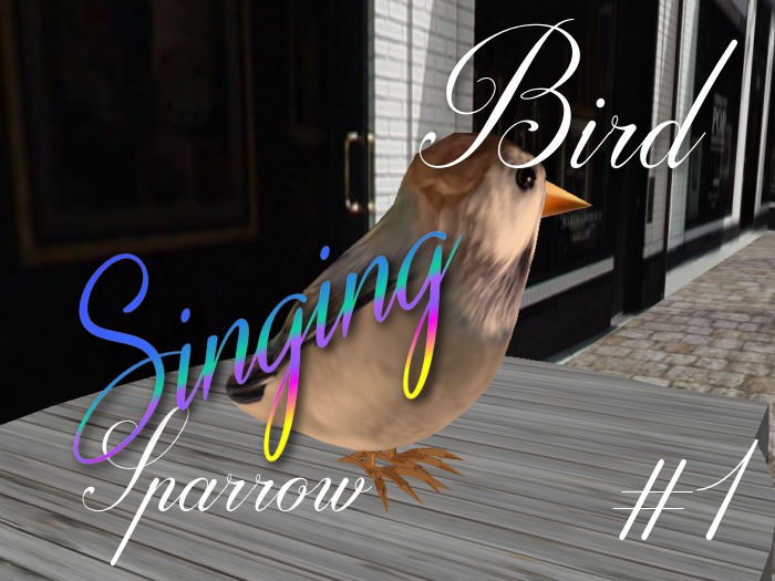 p-a-b bird sparrow #1
