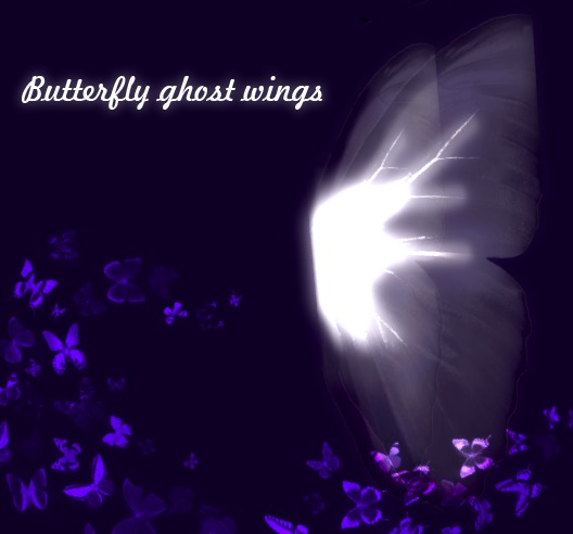 Butterfly ghost wings [CammelCase]