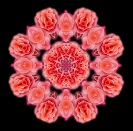 Sanna Pink Roses Kaleidoscope Alpha SET MP
