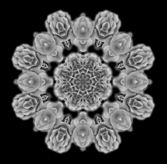 Sanna Grey Roses Kaleidoscope Alpha SET MP