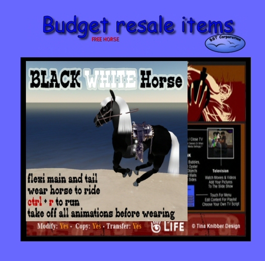 black white horse