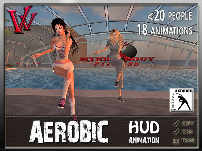 Aerobic dance HUD