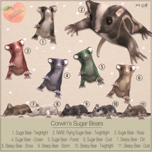 .peaches. Corwin's Sugar Bear - Flying Twighlight - RARE