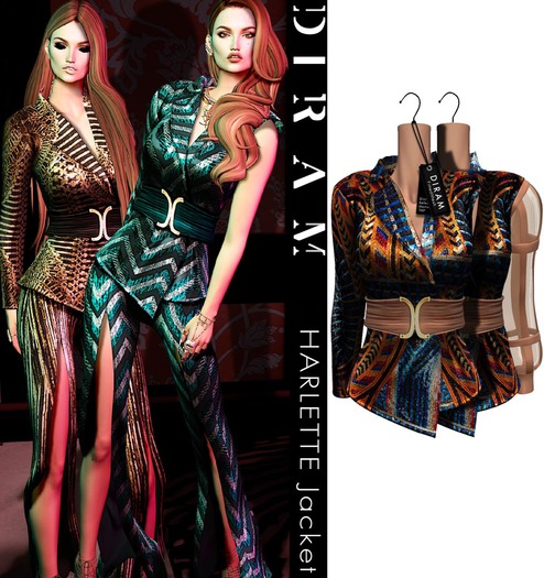- D I R A M - HARLETTE Jacket,Vest,Sleeves,Belt - Fabric 3