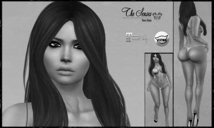 The Senses Shape - Ella Shape Demo