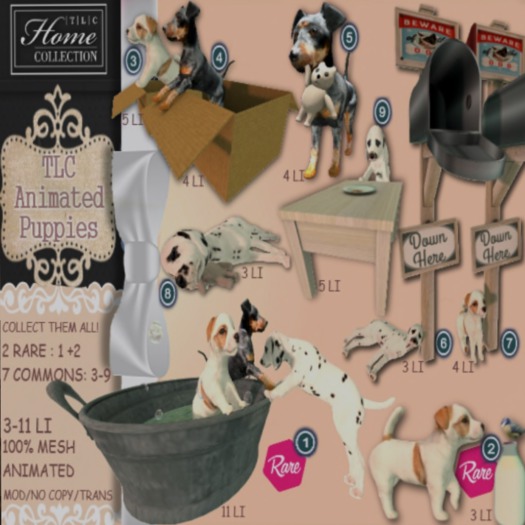 *TLC Puppies 9_Common