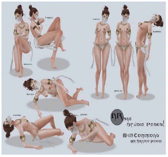 {NR} Shelter - Common