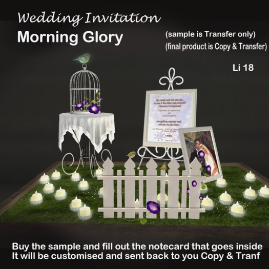 Wedding Invitation - A Little bird told me