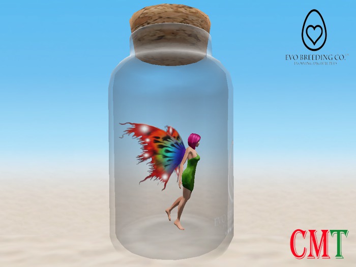 Fairy EVO - #0061 Cleantarth (Rare Meadow)
