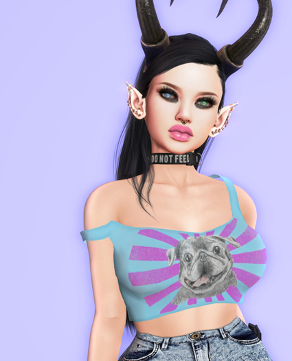 Sparkle Bunny Pug Boss fitmesh top