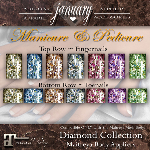 January ~ Nails Diamond Set Appliers