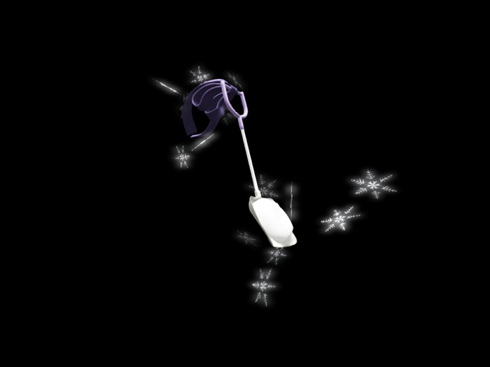 *N*Snow Scoop PURPLE