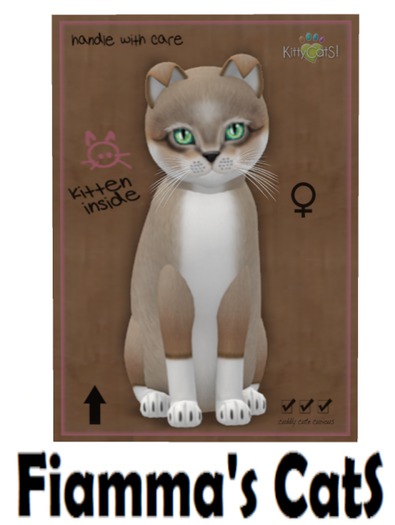 KittyCatS Box - Foxie - Cocoa Cream