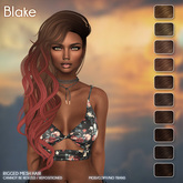 /Wasabi Pills/ Blake Mesh Hair - Browns