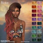 /Wasabi Pills/ Blake Mesh Hair - Fireworks