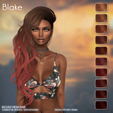 /Wasabi Pills/ Blake Mesh Hair - Reds