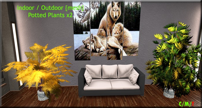 Potted Plants Crate - 2 plants