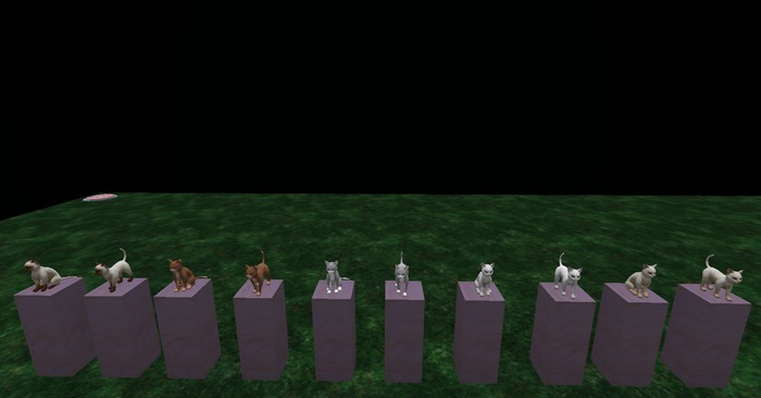 NOVA 1 FAT PACK OF CATS