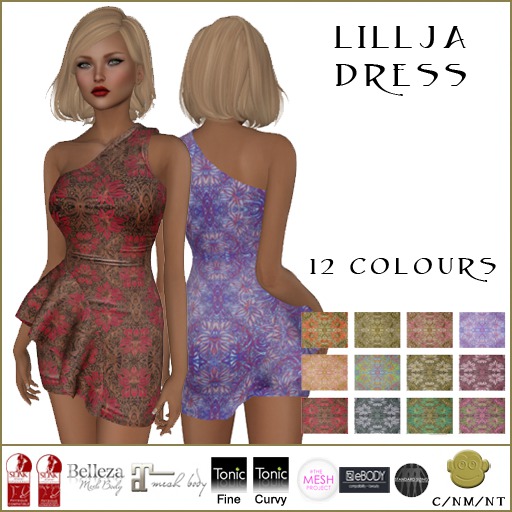 BM Lillja Dress DEMO