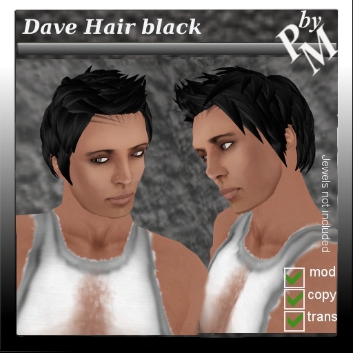 Dave Hair black
