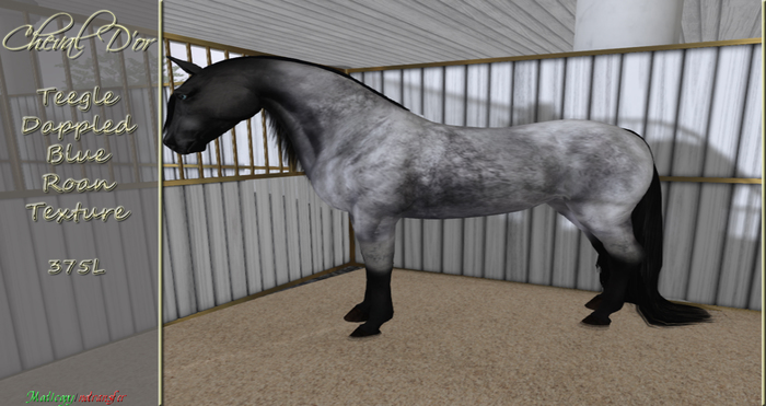 Cheval D'or - Teegle - Dappled Blue Roan