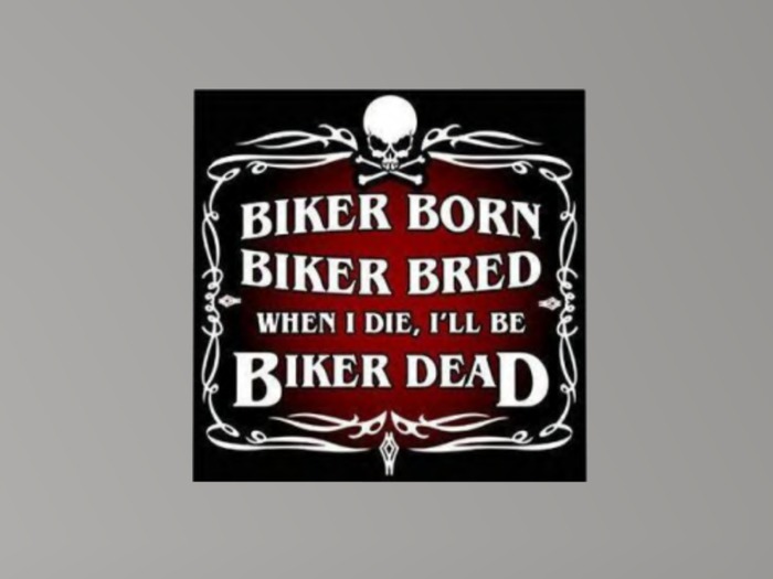 Biker Born Poster
