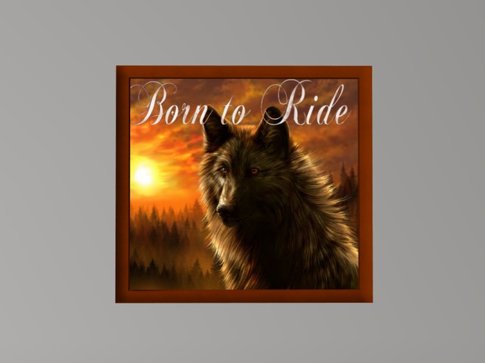 Born to Ride Poster