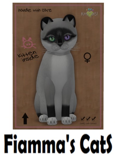 KittyCatS Box - Foxie - Salt & Pepper Mask