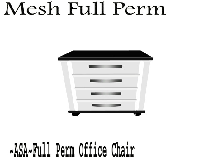 ~ASA~Full Perm Office Organizer  Bag