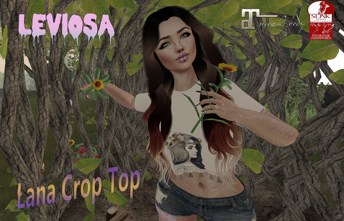 Leviosa Lana Lace Crop Top - Maitreya - Physique Hourglass - Pastel Grunge - Lana Del Rey
