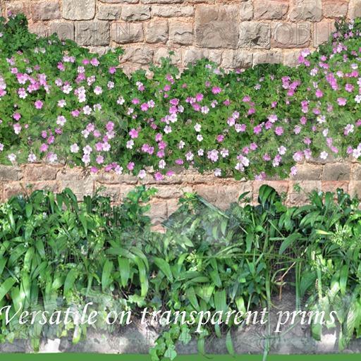 Pink and Green Borders: Personal