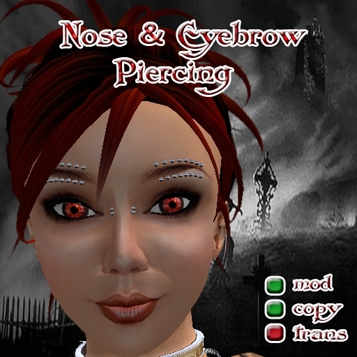 Nose & Eyebrow piercing