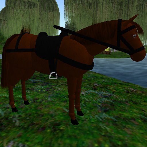 Fast ridable Chestnut Horse