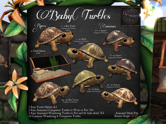 13. *HEXtraordinary* Baby Green Turtle Wanderer