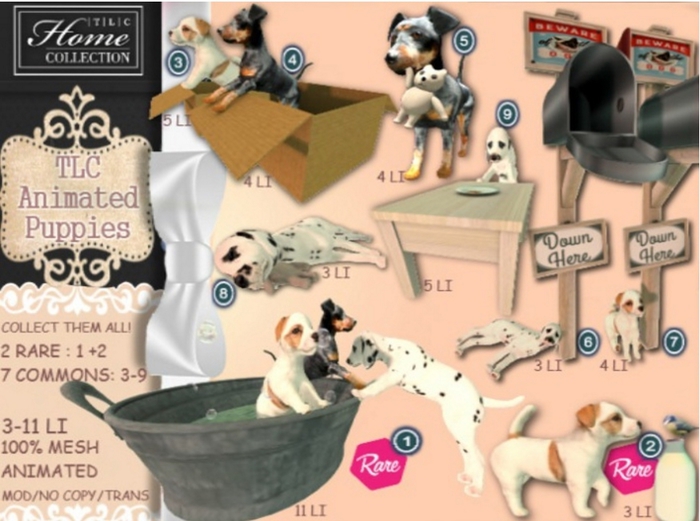 *TLC Puppies 3_Common