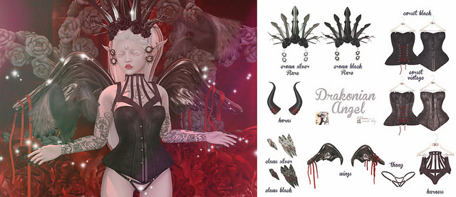 *May's Soul* Drakonia angel. Thong 2