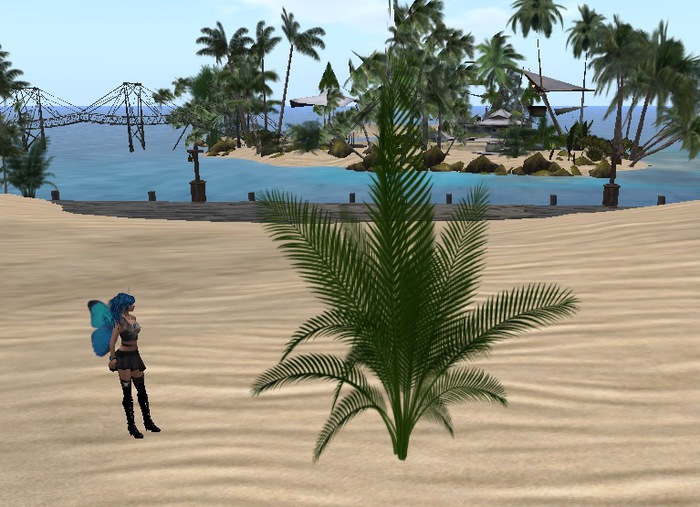 Heart-VR-products - Tropical feather