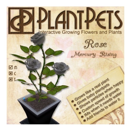 PlantPet Seed [Rose *Mercury Rising*] Box, Open Me