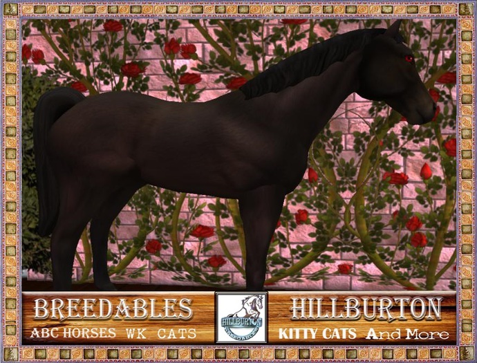 ABC Pet Horse-TB Dark Bay-518026