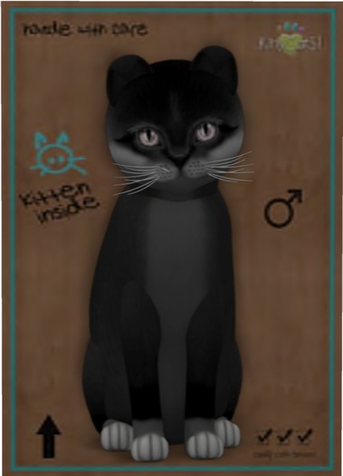 KittyCatS Box - Foxie - Soft Black