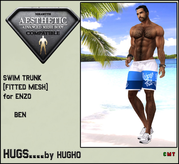 HUGS AESTHETIC SWIM TRUNK BEN