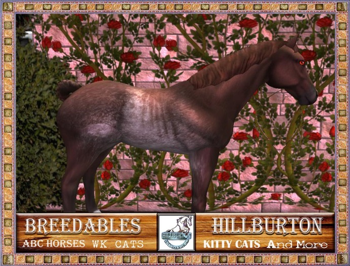 ABC Pet Horse-TB Rabicano-882904