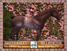 ABC Pet Horse-TB Rabicano-882904