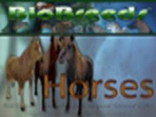 BioBreeds (BB) Horses FEMALE Horse STARTER (Boxed)
