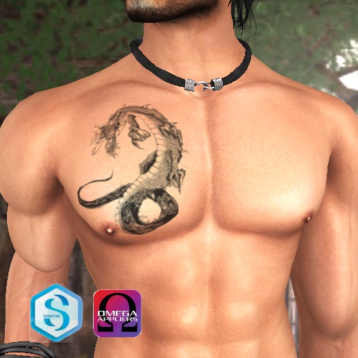 Tatoo Dragon