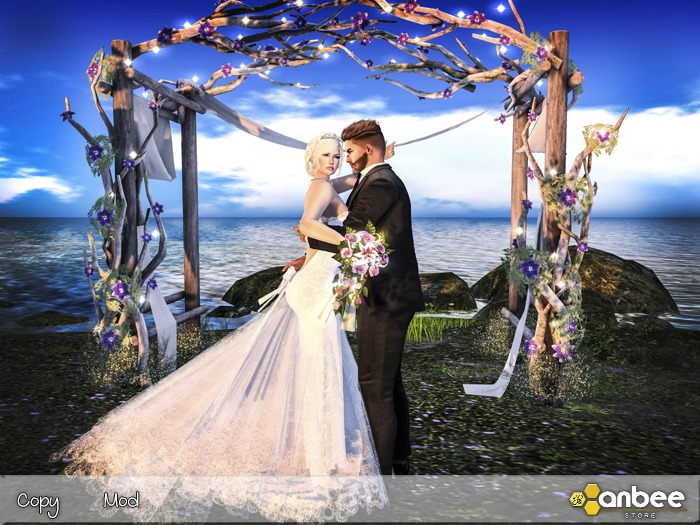 ! Anbee ! #81 - Wedding 01 (Boxed)