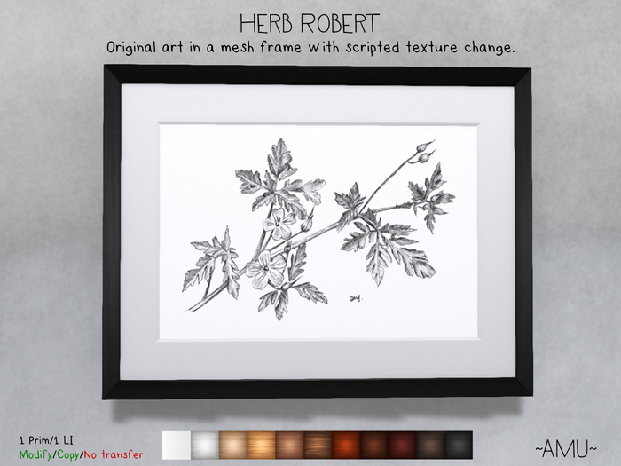 Second Life Marketplace AMU Herb Robert pen and ink botanical art